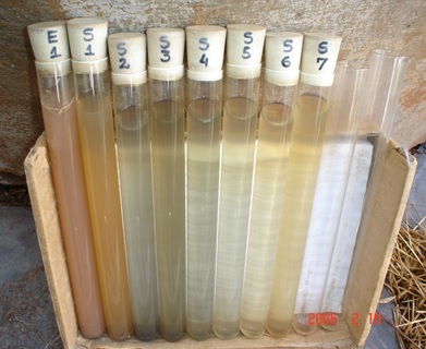 Teste de Laboratório com Enzimas Biomax SNatural Teste de Laboratório com Enzimas Biomax SNatural