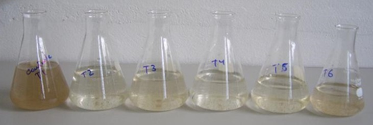 Tratamento da Água com Enzimas Biomax SNatural - Tanques Tratados - Amostras - Imagens ANTES e DEPOIS Tratamento da Água com Enzimas Biomax SNatural - Tanques Tratados - Amostras - Imagens ANTES e DEPOIS