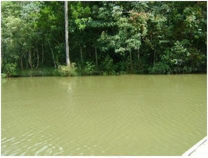 Lagoa tratada com Biomax para redução lodo