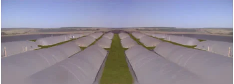 Biodigestores Biodigestores