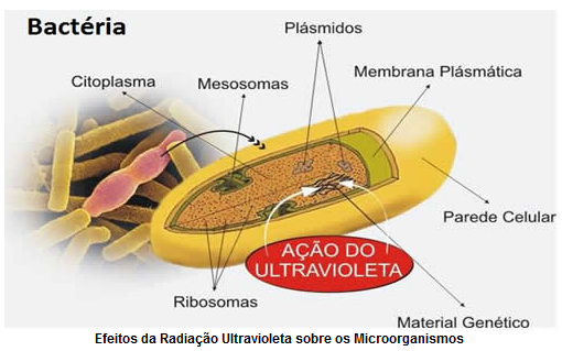 Efeitos da Radiação Ultravioleta sobre os Microrganismos
