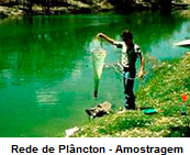 Rede de Plâncton - Amostragem Rede de Plâncton - Amostragem