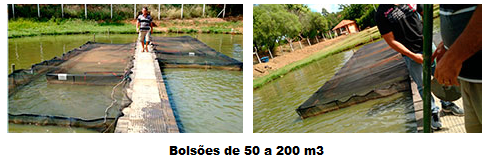 Uso de Bolsões