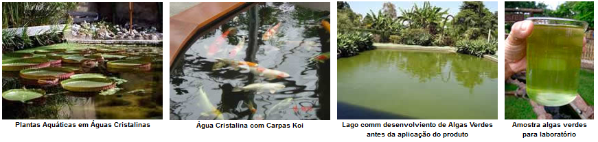 Lagos com Água Cristalina e Lagos com Presença de Algas Verdes