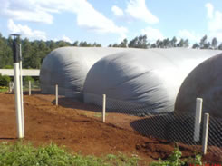 Biodigestores