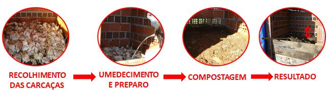 COMPOSTAGEM-AVICOLA