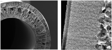 Imagens Microscópicas da Estrutura de uma Membrana NF