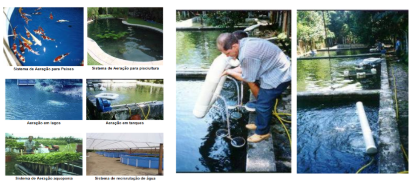 imagem de produção intensiva de peixe