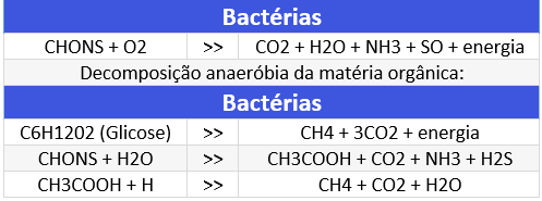 Tabela de Decomposição aeróbica de matéria orgânica