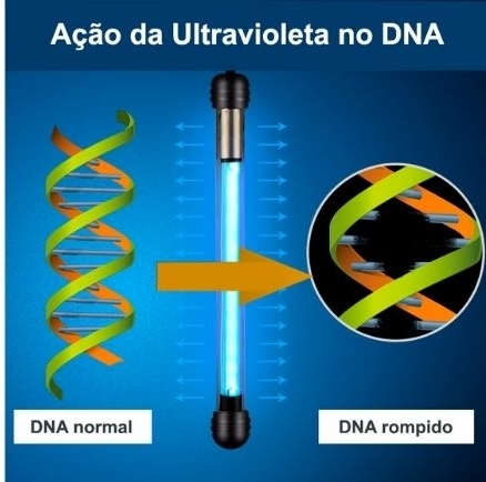 Ação das ondas de radiação ultravioleta no DNA o destruindo