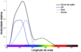 Contribuição de diferentes comprimentos de onda para as atrações de insetos voadores noturnos.