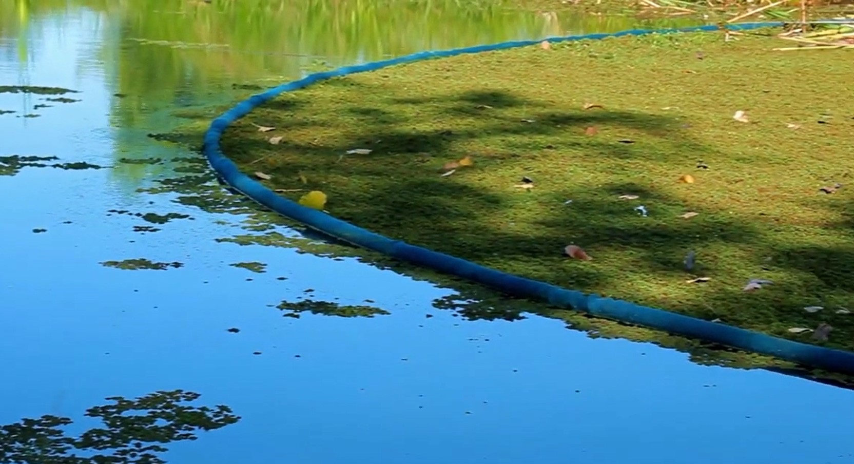 Barreira de Contenção de Plantas aquáticas invasoras