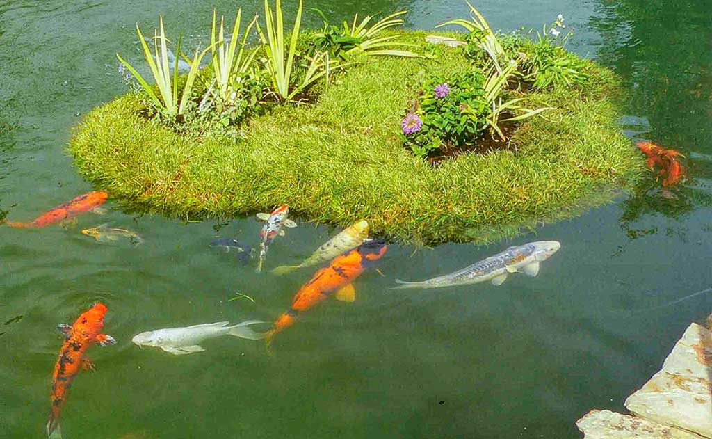 Ilha Flutuante para Lagos com Peixes